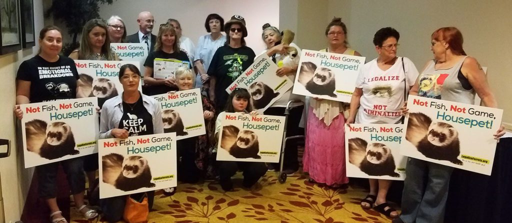 Ferret supporters at the August 25th Fish and Game meeting