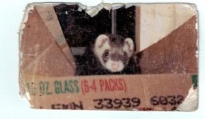 Chester
