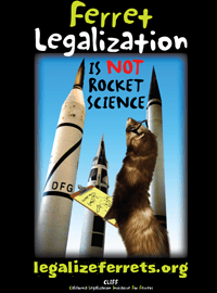 Ferret Legalization is not Rocket Science