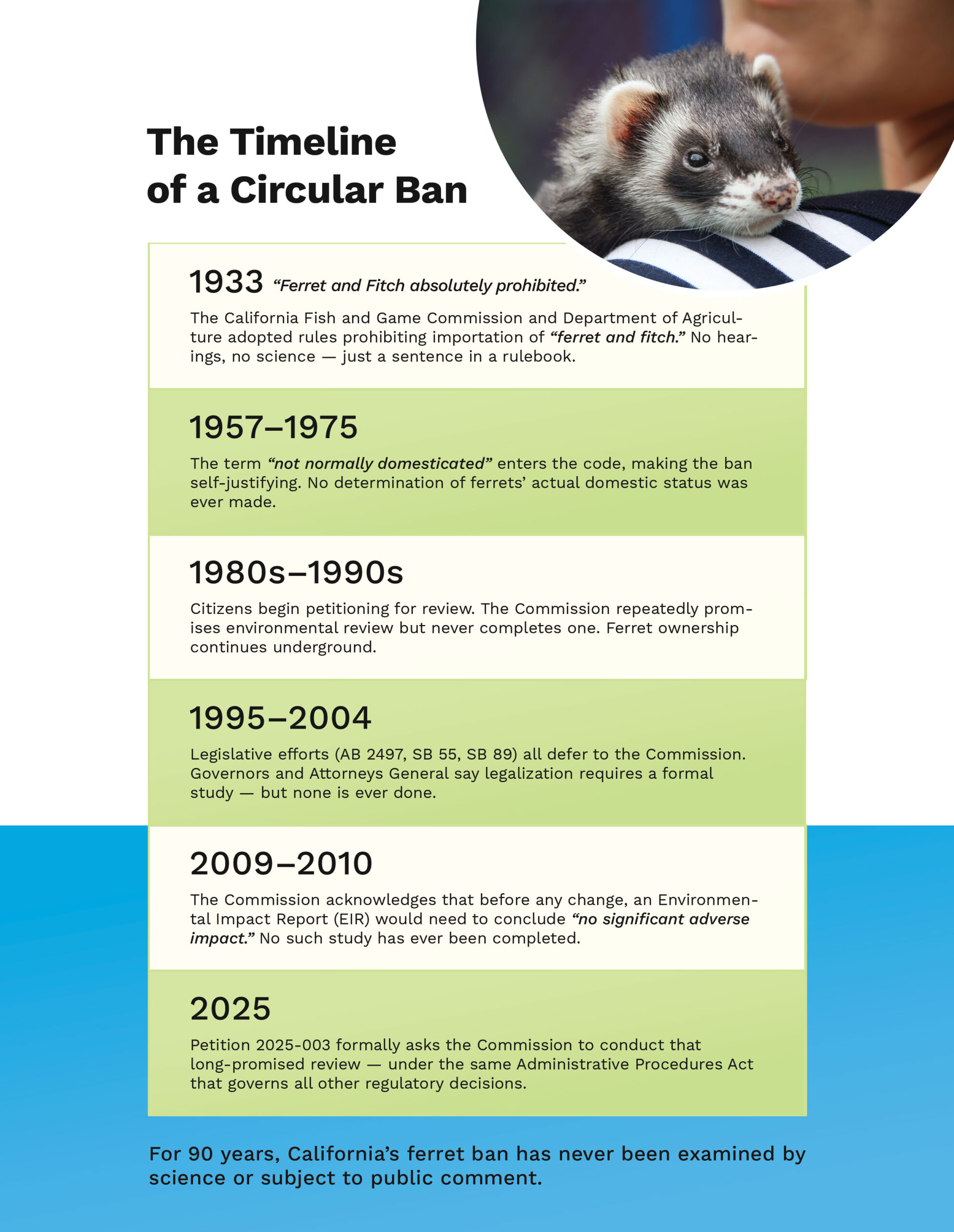 Legalize Ferrets brochure, page 1