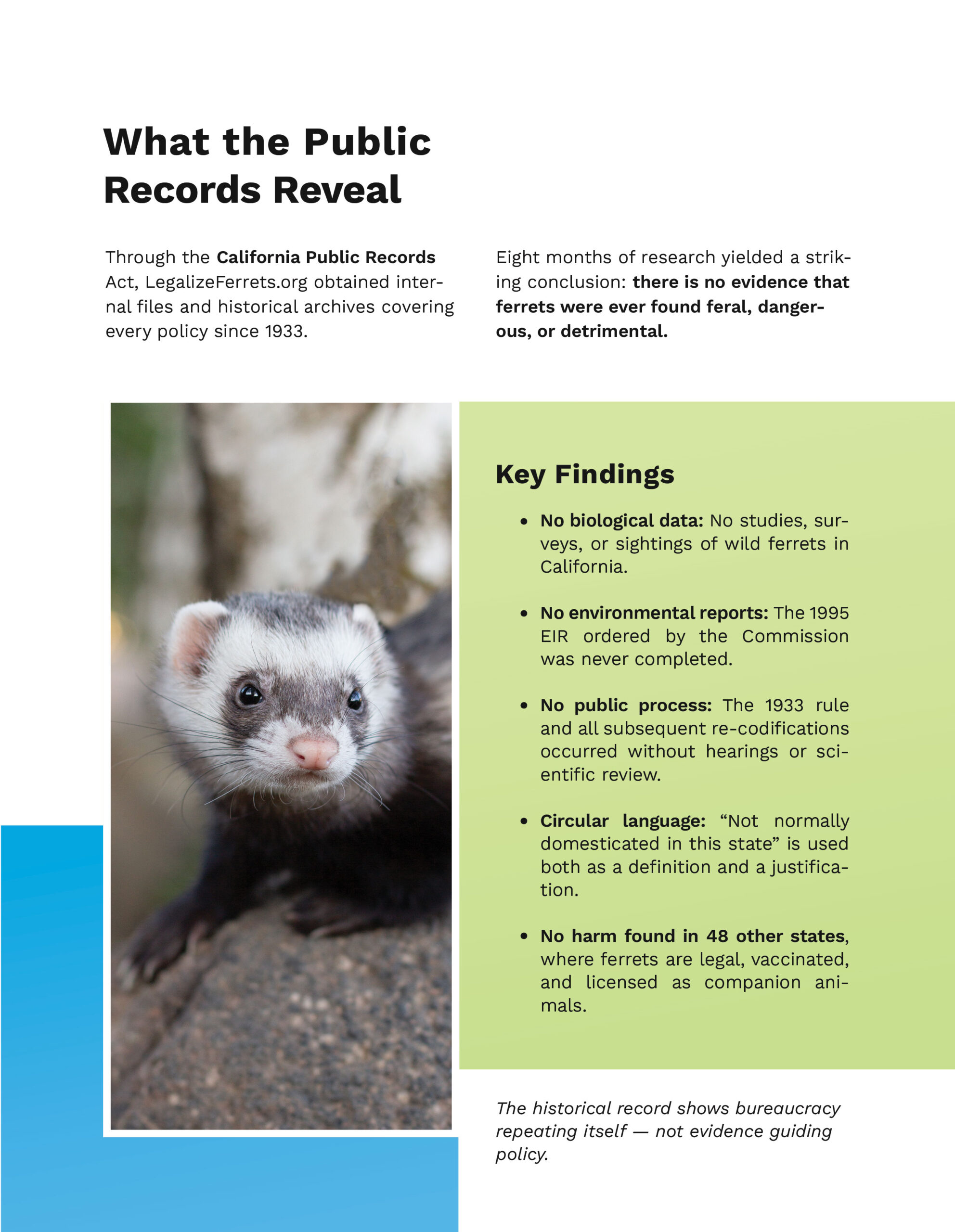 Legalize Ferrets brochure, page 2