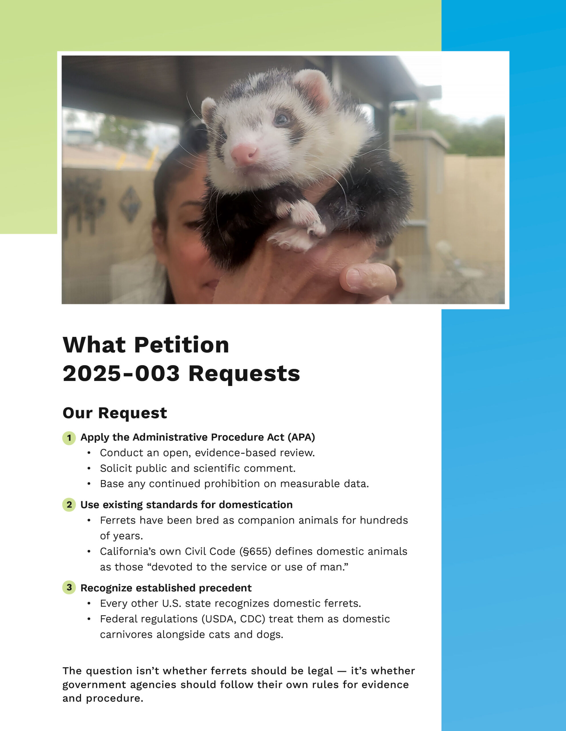 Legalize Ferrets brochure, page 3