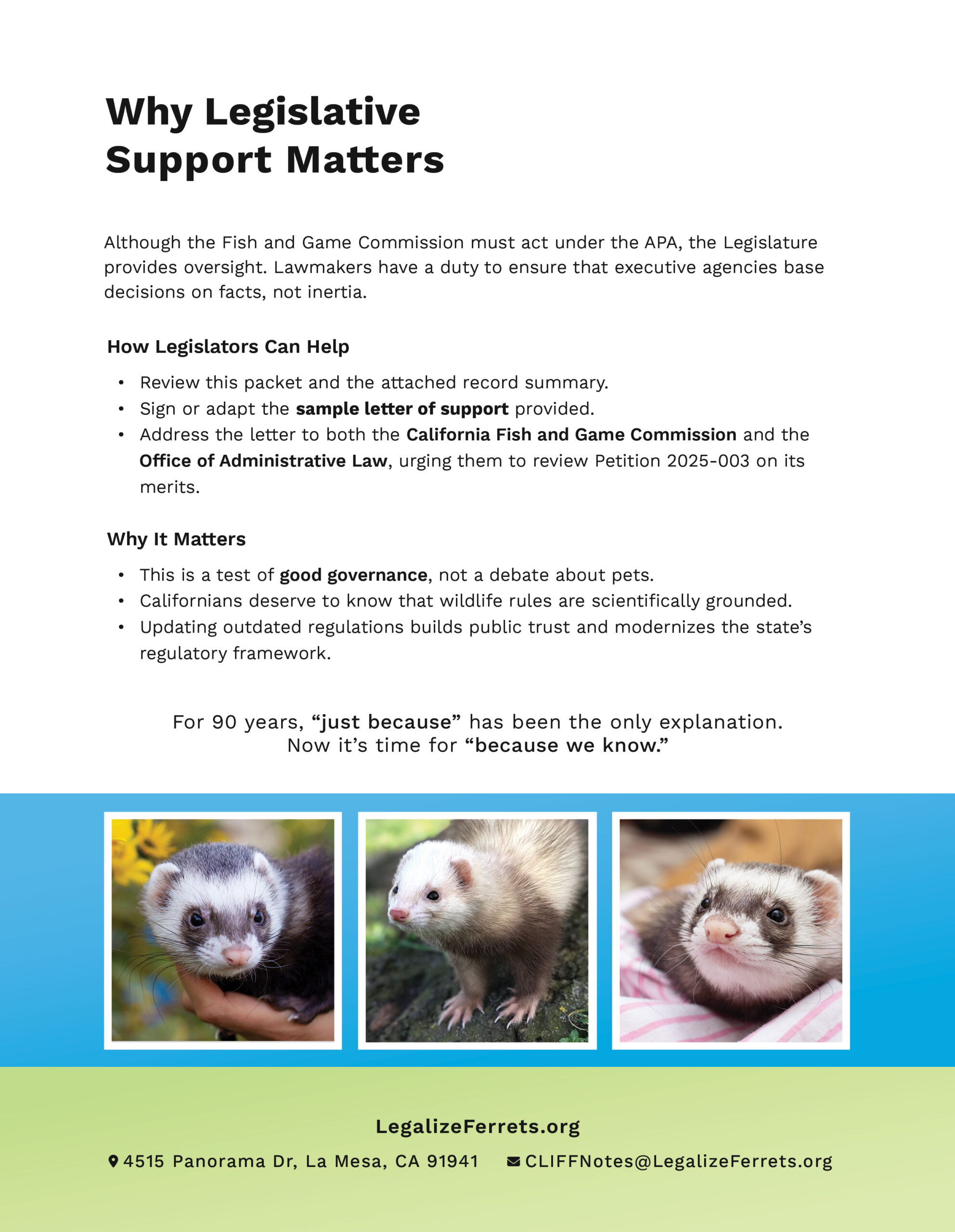 Legalize Ferrets brochure, page 4