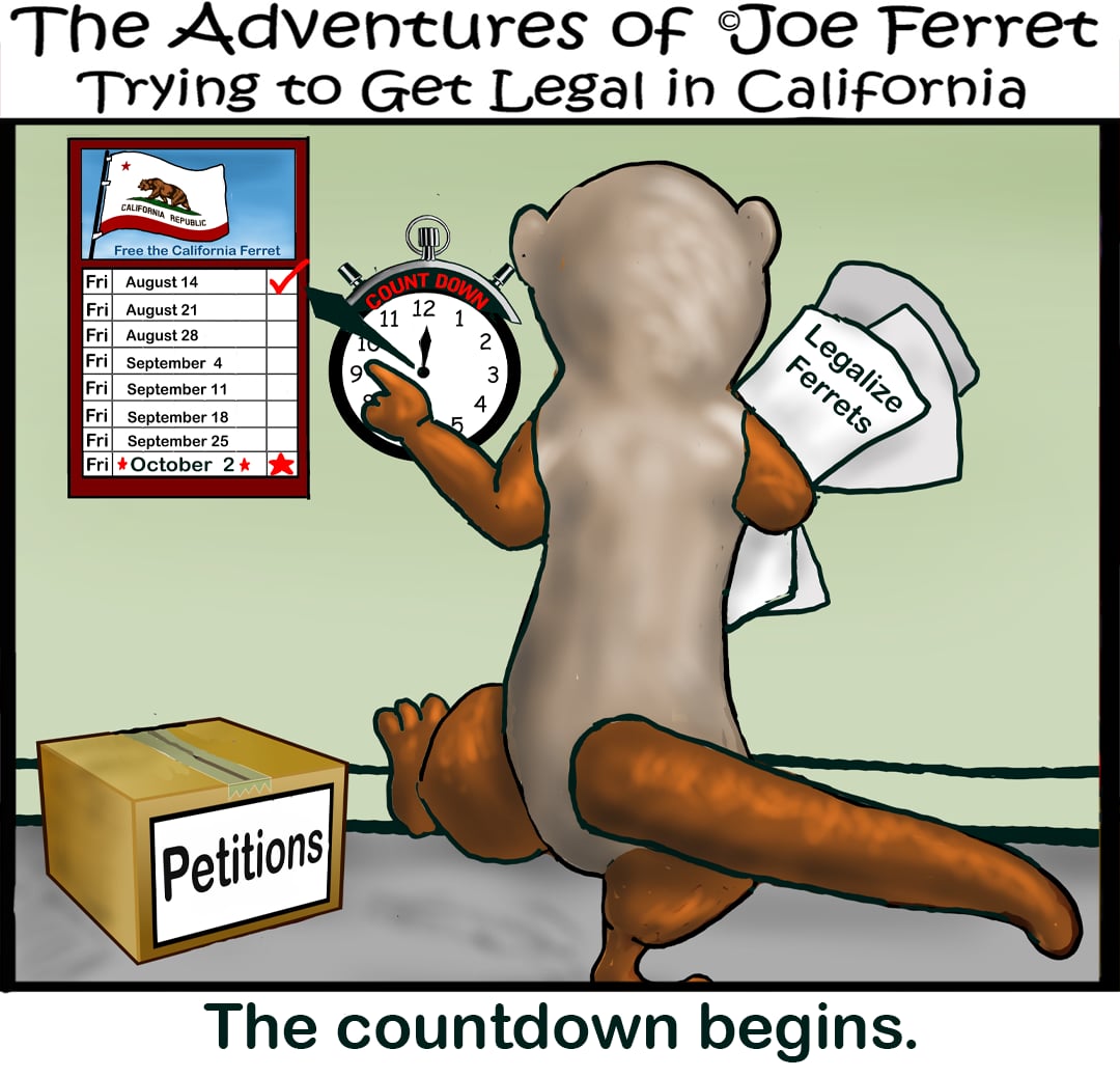 Joe Ferret marks August 14 on a countdown calendar to the October 2 court hearing while holding Legalize Ferrets papers.